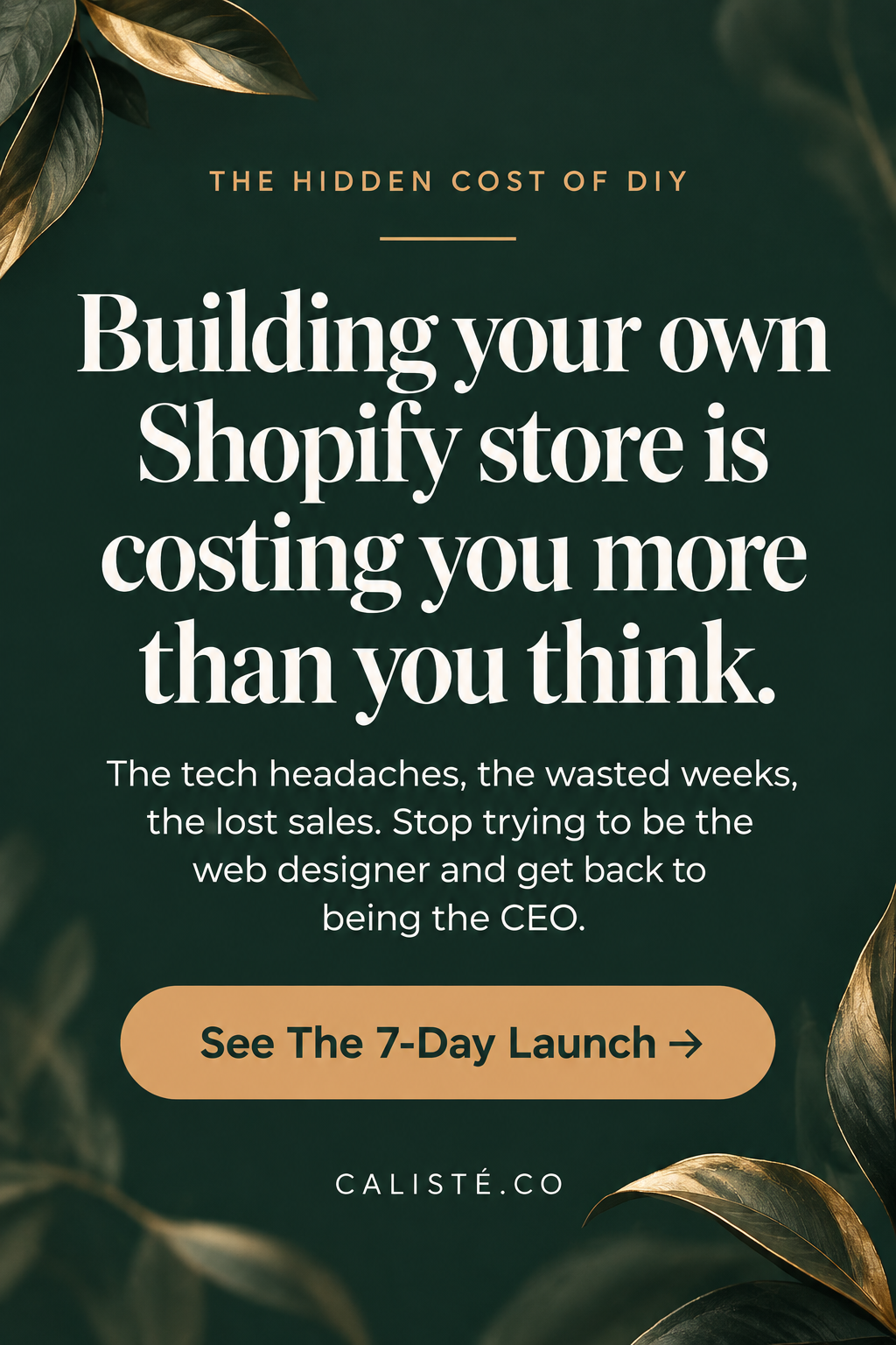 The Hidden Cost of DIY: Why Your Shopify Store Isn't Selling